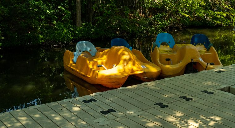 Paddleboats tied up at the dock